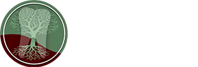 dentistry by design